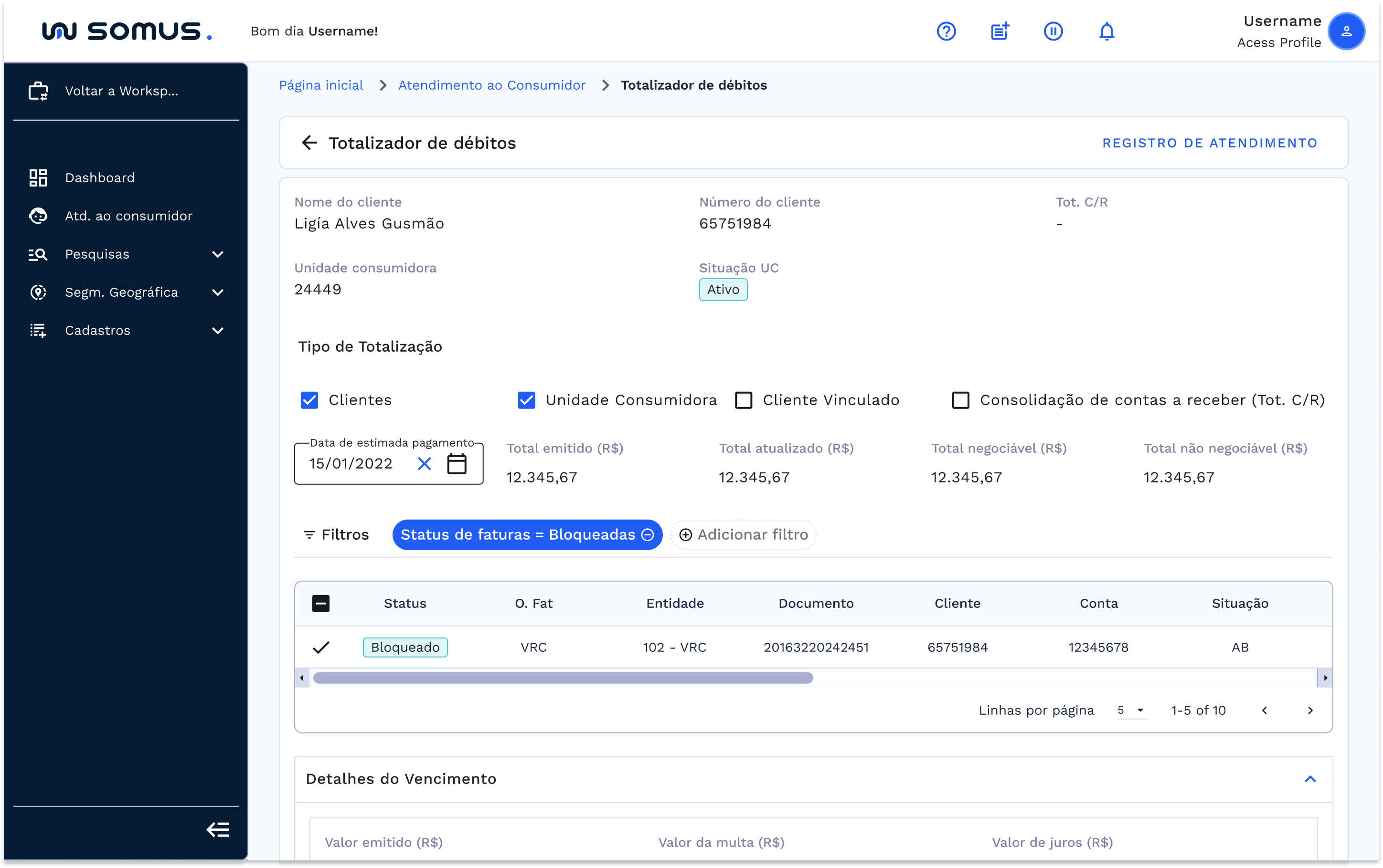 Tela Totalizador de débitos, com os filtros aplicados